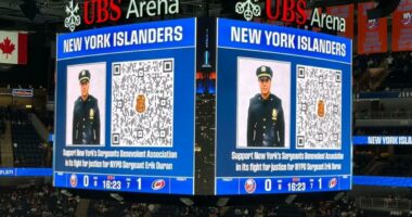 Islanders fans rally behind jailed âcooler copâ Erik Duran after launch of defense legal fund